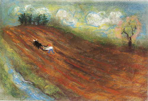 Wynstones Press Books Books Alphabetical List Harvest Story The